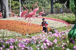 BIB: 
                            <button type="button" onclick="openModal(27794046)" class="btn btn-primary btn-sm float-right btn-popup" data-toggle="modal" data-target=".modal-high-quality">
                        <i class="fas fa-shopping-cart"></i> Add to Cart
                    </button>
                                            <button type="button" onclick="isThisMe(27794046, true)" class="btn btn-success btn-sm float-right btn-popup btn-isme hidden" data-toggle="tooltip" data-placement="bottom" title="นี่คือรูปของคุณใช่ไหม คลิกที่นี่เพื่อเอาเข้าอัลบั้ม">
                        <i class="fas fa-plus"></i> Add to album
                    </button>
                    <button type="button" onclick="isThisMe(27794046, false)" class="btn btn-warning btn-sm float-right btn-popup btn-isnotme hidden">
                        <i class="fas fa-ban"></i> Remove from album
                    </button>